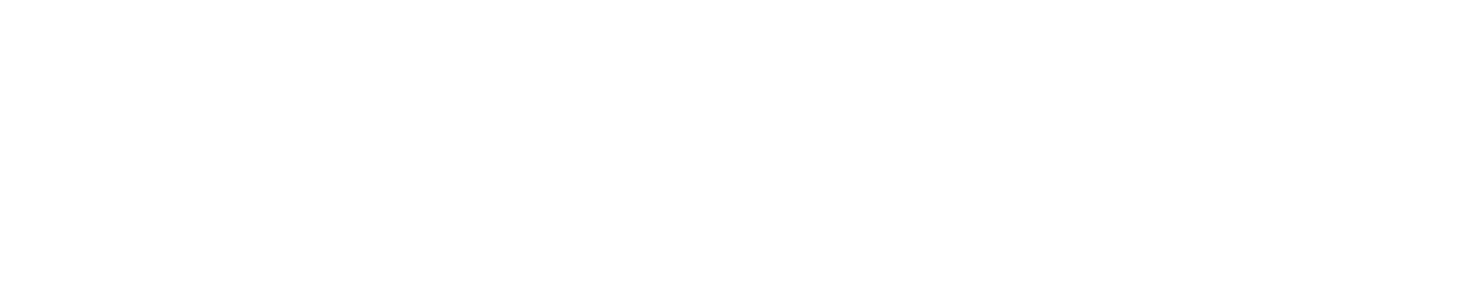 SkvěléČesko.cz